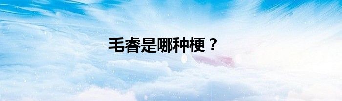 毛睿是哪种梗？