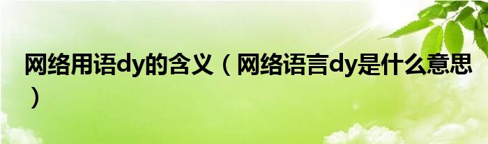 网络用语dy的含义（网络语言dy是什么意思）