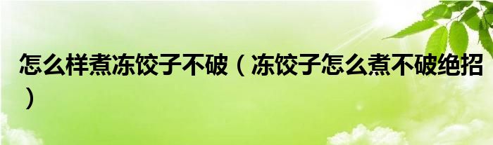 怎么样煮冻饺子不破（冻饺子怎么煮不破绝招）