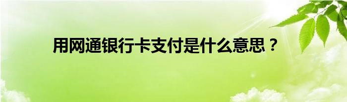 用网通银行卡支付是什么意思？