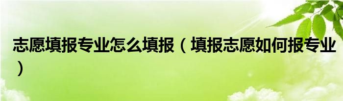 志愿填报专业怎么填报（填报志愿如何报专业）