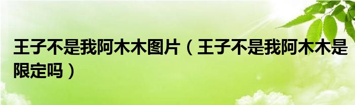 王子不是我阿木木图片（王子不是我阿木木是限定吗）