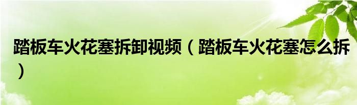 踏板车火花塞拆卸视频（踏板车火花塞怎么拆）