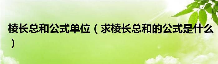 棱长总和公式单位（求棱长总和的公式是什么）