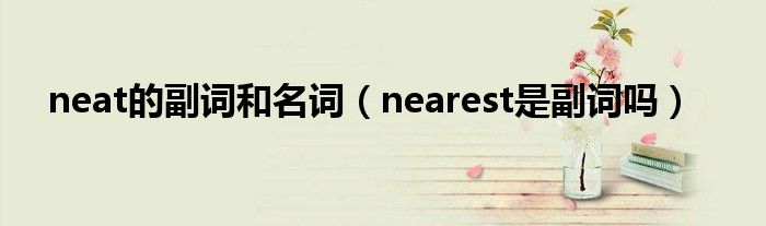 neat的副词和名词（nearest是副词吗）