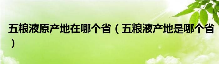 五粮液原产地在哪个省（五粮液产地是哪个省）