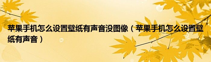 苹果手机怎么设置壁纸有声音没图像（苹果手机怎么设置壁纸有声音）