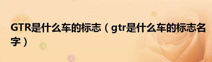 GTR是什么车的标志（gtr是什么车的标志名字）