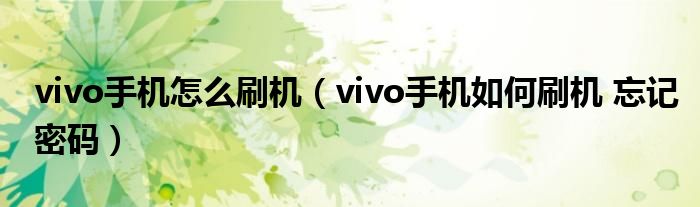 vivo手机怎么刷机（vivo手机如何刷机 忘记密码）