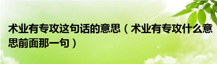 术业有专攻这句话的意思（术业有专攻什么意思前面那一句）