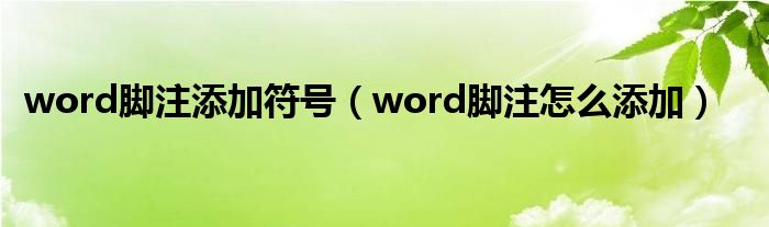 word脚注添加符号（word脚注怎么添加）