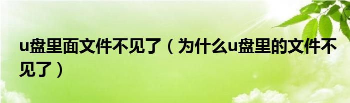 u盘里面文件不见了（为什么u盘里的文件不见了）