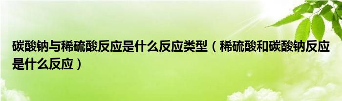 碳酸钠与稀硫酸反应是什么反应类型（稀硫酸和碳酸钠反应是什么反应）