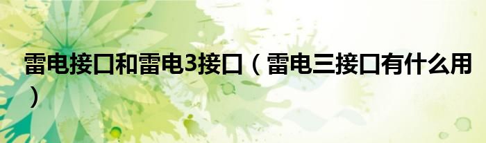 雷电接口和雷电3接口（雷电三接口有什么用）