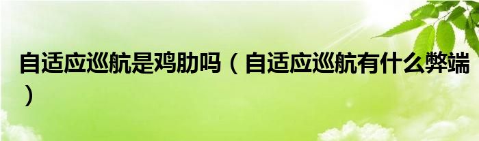 自适应巡航是鸡肋吗（自适应巡航有什么弊端）