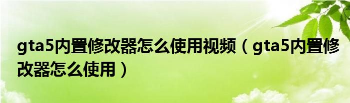 gta5内置修改器怎么使用视频（gta5内置修改器怎么使用）