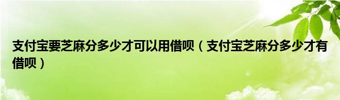 支付宝要芝麻分多少才可以用借呗（支付宝芝麻分多少才有借呗）