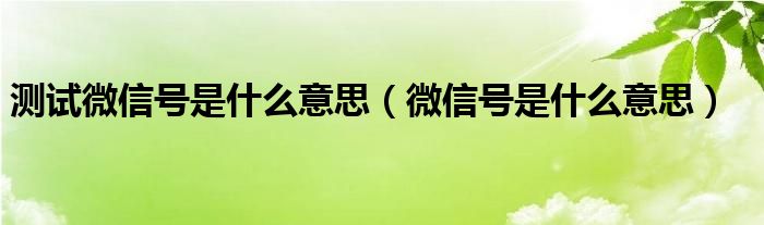 测试微信号是什么意思（微信号是什么意思）