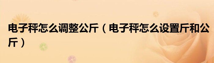 电子秤怎么调整公斤（电子秤怎么设置斤和公斤）