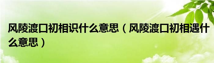 风陵渡口初相识什么意思（风陵渡口初相遇什么意思）