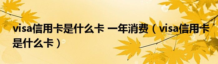 visa信用卡是什么卡 一年消费（visa信用卡是什么卡）