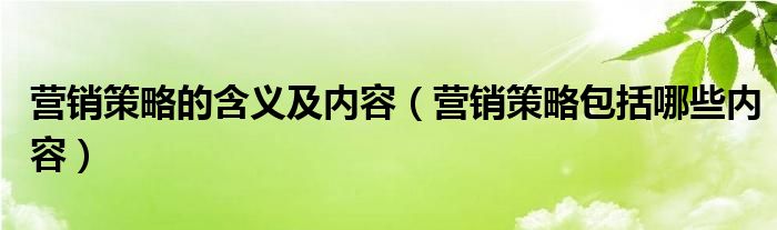 营销策略的含义及内容（营销策略包括哪些内容）