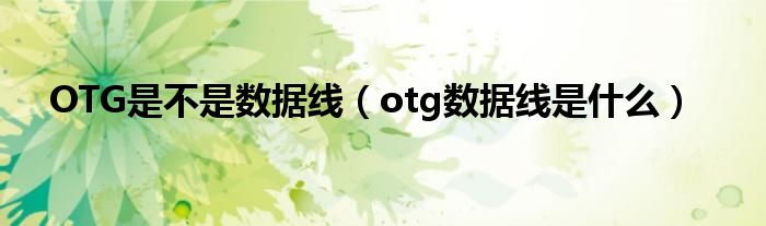 OTG是不是数据线（otg数据线是什么）