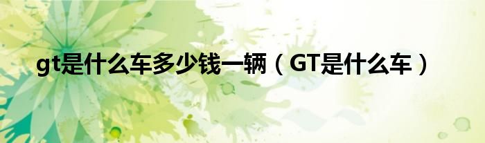 gt是什么车多少钱一辆（GT是什么车）