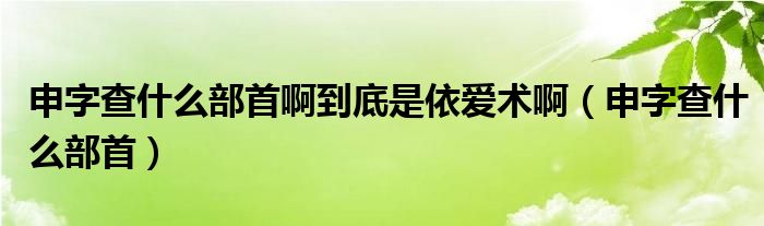 申字查什么部首啊到底是依爱术啊（申字查什么部首）