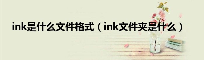 ink是什么文件格式（ink文件夹是什么）