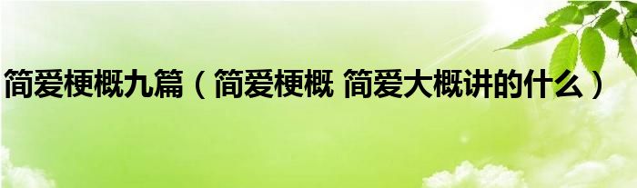 简爱梗概九篇（简爱梗概 简爱大概讲的什么）