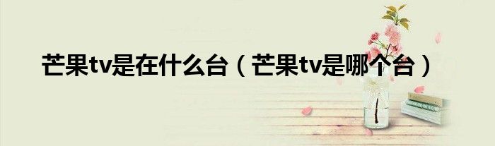 芒果tv是在什么台（芒果tv是哪个台）