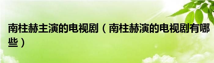 南柱赫主演的电视剧（南柱赫演的电视剧有哪些）