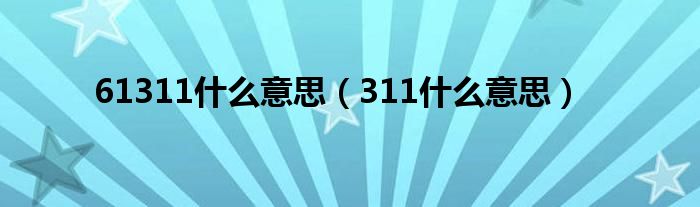 61311什么意思（311什么意思）