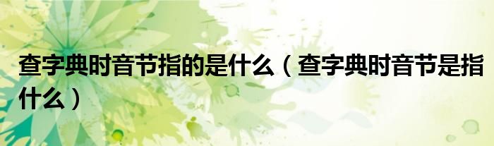 查字典时音节指的是什么（查字典时音节是指什么）