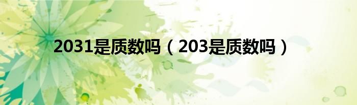 2031是质数吗（203是质数吗）