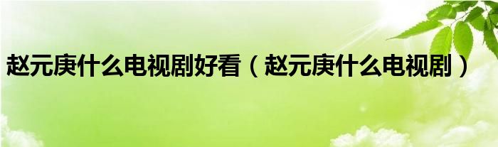 赵元庚什么电视剧好看（赵元庚什么电视剧）