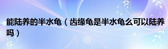 能陆养的半水龟（齿缘龟是半水龟么可以陆养吗）