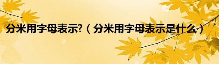 分米用字母表示?（分米用字母表示是什么）