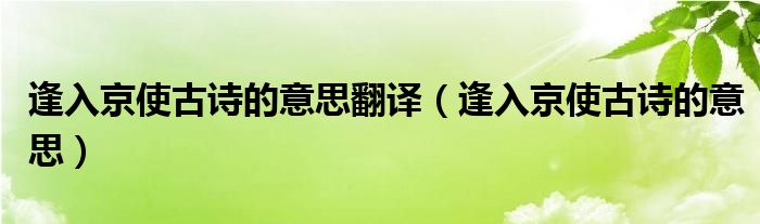 逢入京使古诗的意思翻译（逢入京使古诗的意思）