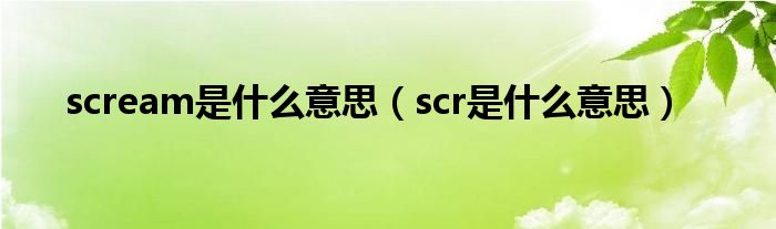 scream是什么意思（scr是什么意思）