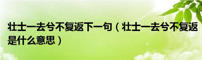 壮士一去兮不复返下一句（壮士一去兮不复返是什么意思）