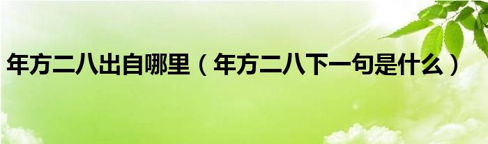 年方二八出自哪里（年方二八下一句是什么）