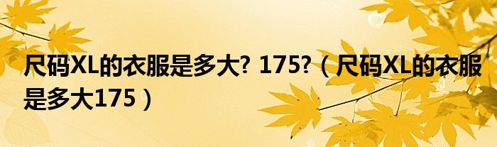 尺码XL的衣服是多大? 175?（尺码XL的衣服是多大175）