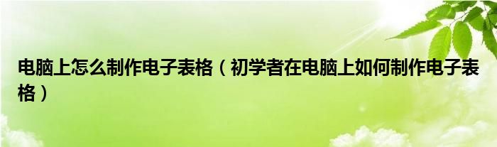 电脑上怎么制作电子表格（初学者在电脑上如何制作电子表格）