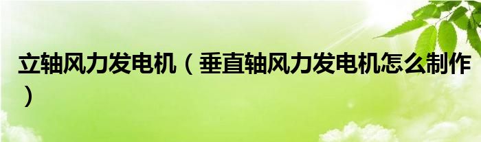 立轴风力发电机（垂直轴风力发电机怎么制作）