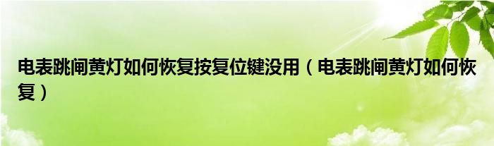 电表跳闸黄灯如何恢复按复位键没用（电表跳闸黄灯如何恢复）