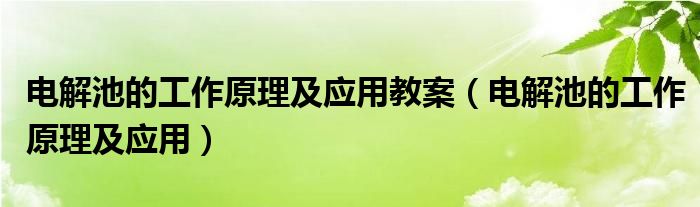 电解池的工作原理及应用教案（电解池的工作原理及应用）