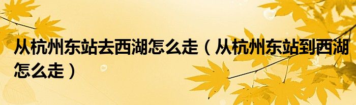 从杭州东站去西湖怎么走（从杭州东站到西湖怎么走）