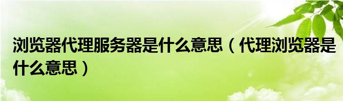 浏览器代理服务器是什么意思（代理浏览器是什么意思）